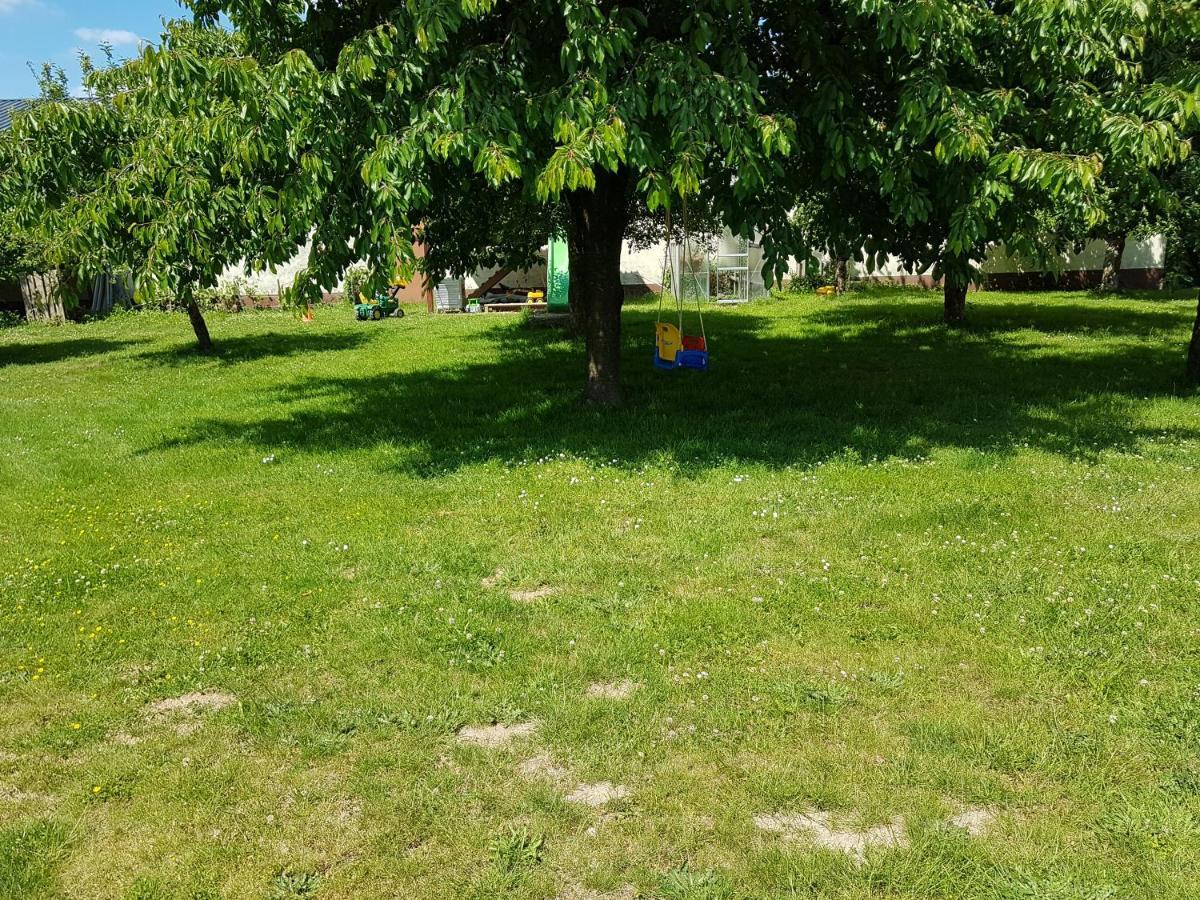 Ferienwohnung/Monteurwohnung im schönen Odenwald Mörlenbach Zimmer foto