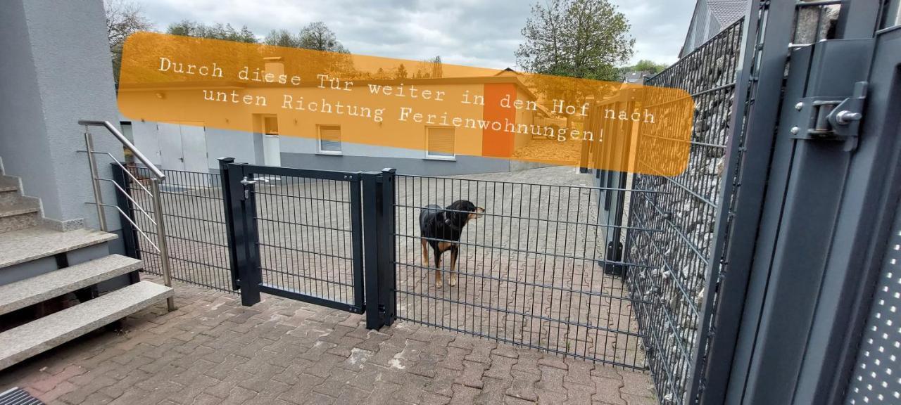 Ferienwohnung/Monteurwohnung im schönen Odenwald Mörlenbach Exterior foto