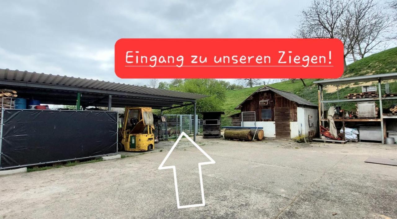 Ferienwohnung/Monteurwohnung im schönen Odenwald Mörlenbach Exterior foto